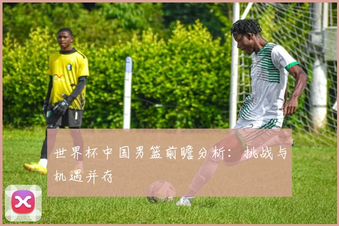 世界杯中国男篮前瞻分析：挑战与机遇并存
