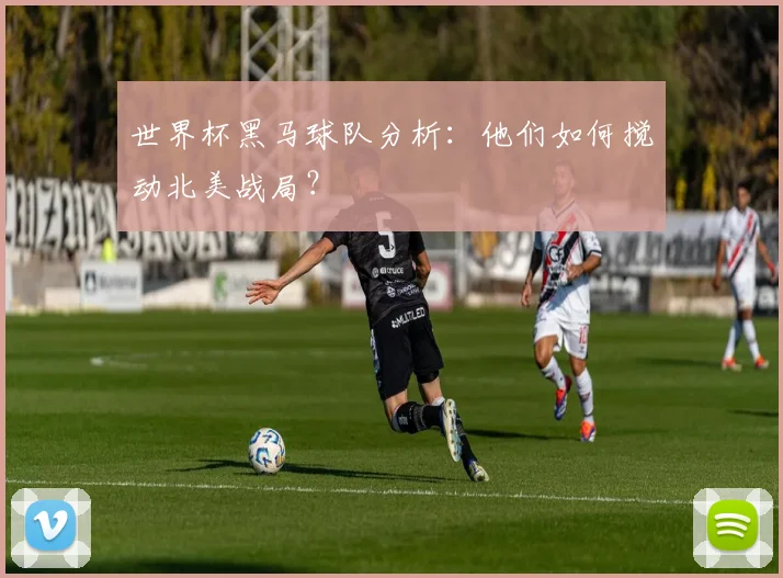 世界杯黑马球队分析:他们如何搅动北美战局?