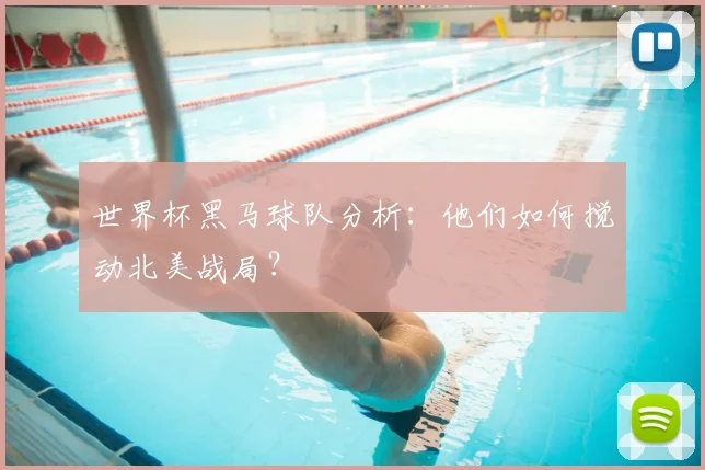 世界杯黑马球队分析：他们如何搅动北美战局？